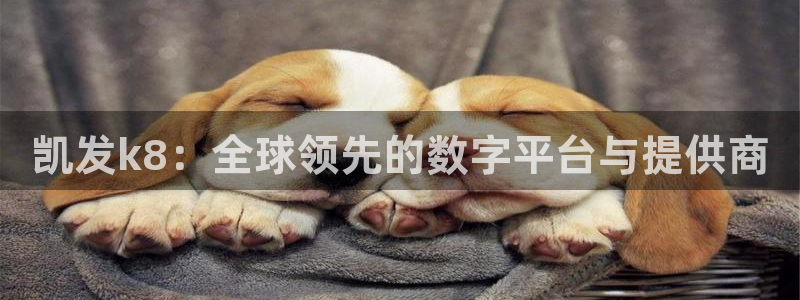 万向娱乐 - ng大舞台,有梦你就来