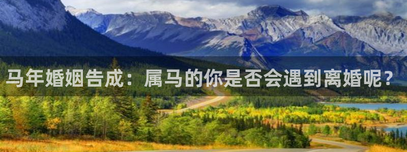 万向娱乐,apk.