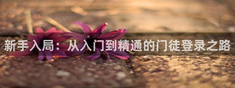 万向娱乐官网入口