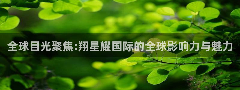 壹号注册入口app下载