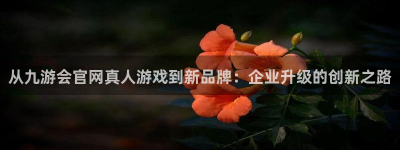 伟德国际集团 壹号(one game)