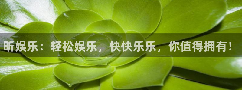 万向娱乐,apk