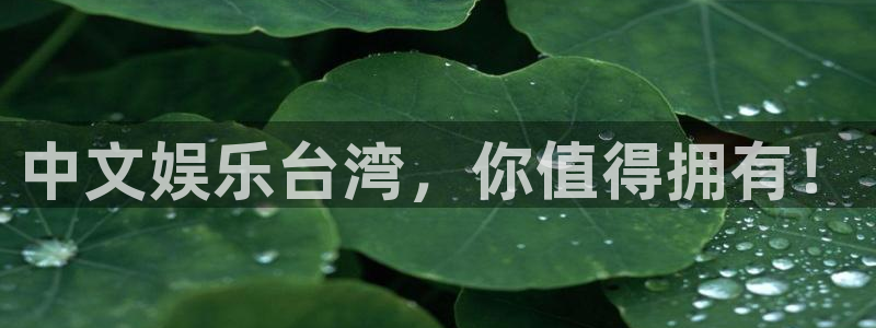 壹号电子娱乐app下载最新版本安装
