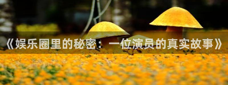 万向娱乐官网入口