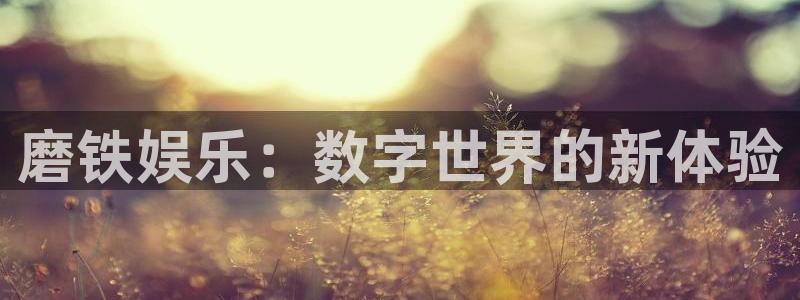万向娱乐app下载安装