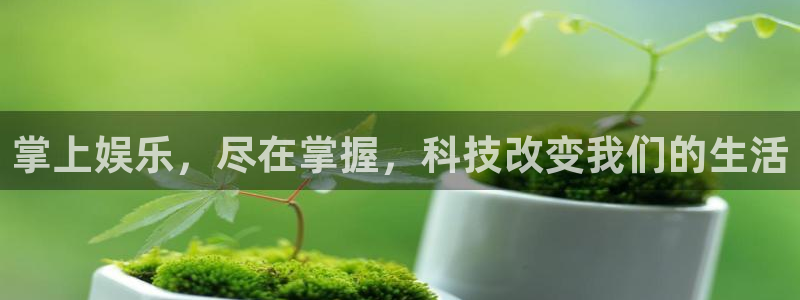壹号大舞台网站