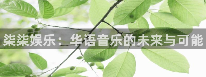 壹号电子娱乐app