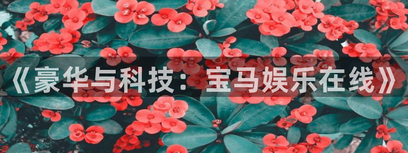 壹号app下载苹果