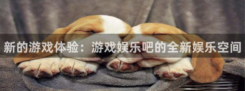 万向娱乐app最新版怎么下载苹果：新的游戏体验：游戏娱乐吧的全新娱乐空间
