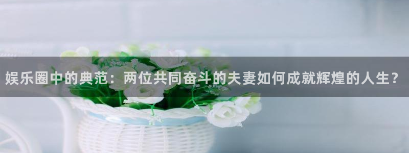 万向娱乐(com.youad.authst)：娱乐圈中的典范：两位共同奋斗的夫妻如何成就辉煌的人生？