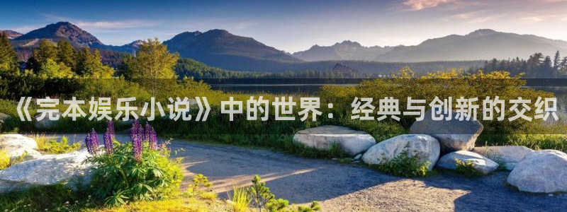 万向娱乐,apk.：《完本娱乐小说》中的世界：经典与创新的交织