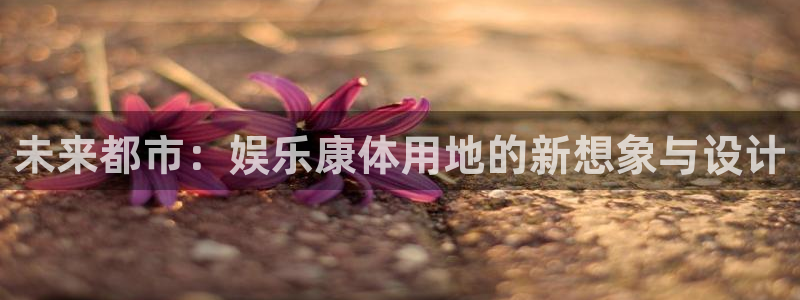 万向娱乐强制退款流程详解：未来都市：娱乐康体用地的新想象与设计