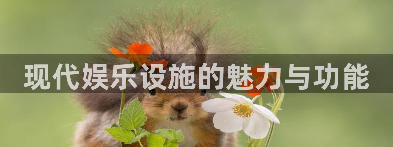 万向娱乐app下载安装最新版：现代娱乐设施的魅力与功能
