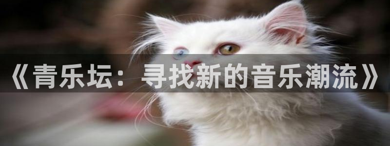 万向娱乐app官网下载苹果：《青乐坛：寻找新的音乐潮流》