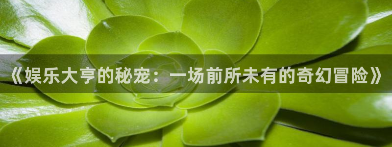 万向娱乐app入口：《娱乐大亨的秘宠：一场前所未有的奇幻冒险》