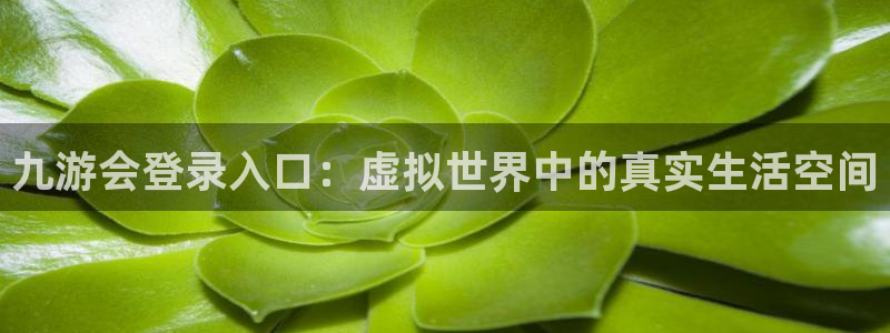 壹号app下载官网娱乐：九游会登录入口：虚拟世界中的真实生活空间